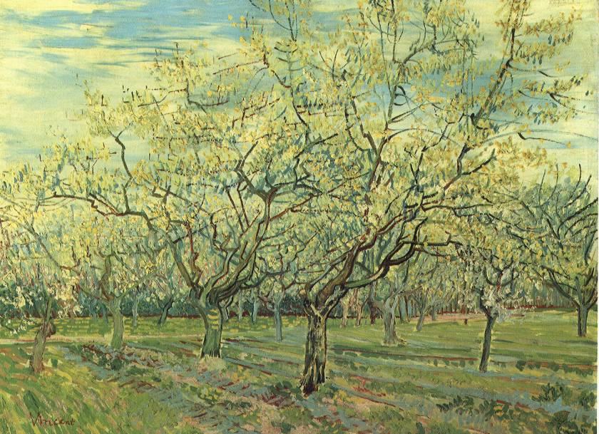 Vincent van Gogh Orchard with Blossoming Plum Trees